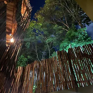 https://loba-tulum.tulum-hotels.net