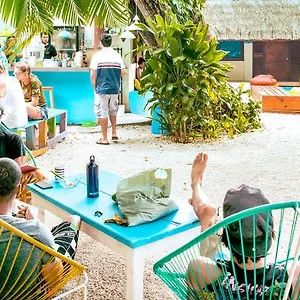 https://beds-friends-hostel.allrivieramayahotels.com